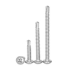 Stainless Steel 304 Furniture Phillips Cross Recess Phillips Round Head Self Drilling Screws for Building Renovation Metal Sheet