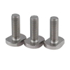 M5 M6 M8 M10 M12 M16 M18 Customized DIN186 304 Stainless Steel Rectangular Square Head T Bolt Carbon Steel T Slot Bolt T-Bolt