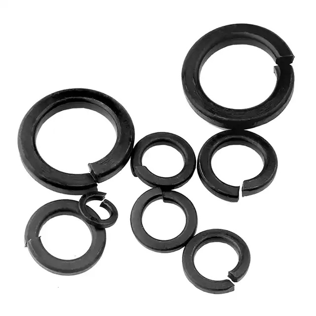 Round Bolt M5 M6 M8 M10 Zinc Plated 304 316 DIN 127 Flat Carbon Steel Stainless Steel Retaining Ring Spring Lock Washer Gasket
