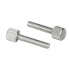 M6 Customized Plastic Wing Metal Manifold Head Metric Inch Stainless Steel Carbon Steel Fasten Thumb Screw Hand Screws for Sheet