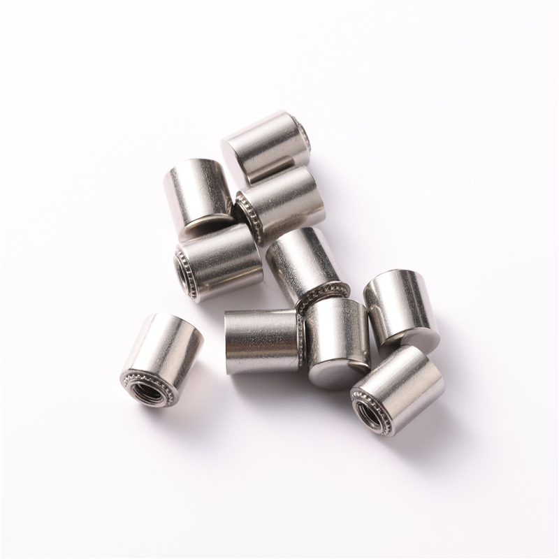 M3 Passivated Plain Stainless Steel 304 316 Flat Round Head Cylindrical Waterproof Self Clinching Standoff Nut For Sheet Metal
