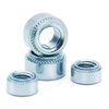 M3 M4 M5 S SS CLS CLSS SP Stainless Steel Carbon Steel Metal Lock Nut Press Nut Self Clinching Nut for PC Board Car And Industry