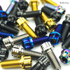 Anodized Six-Lobe Drive Titanium Alloy Torx Screw Hex Flange Torx Gr5 Titanium Bolt for Motorcycle